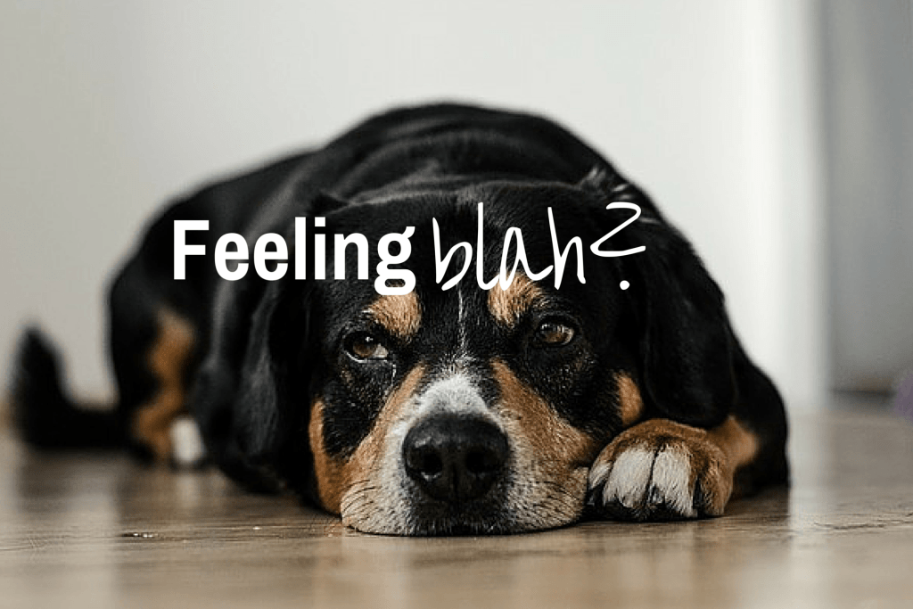 Feeling blah